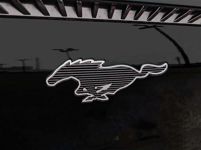 2026 Ford Mustang Mach-E Select, schwarz, 30 km, Import Kanada — Foto 9 z 18