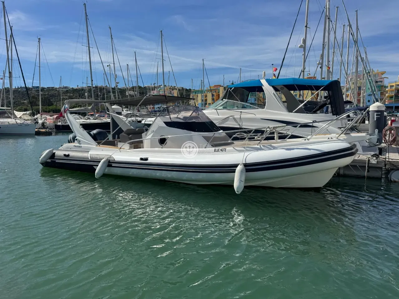 Capelli Tempest 1000 WA, Import Auf Lager in der EU — Foto 1