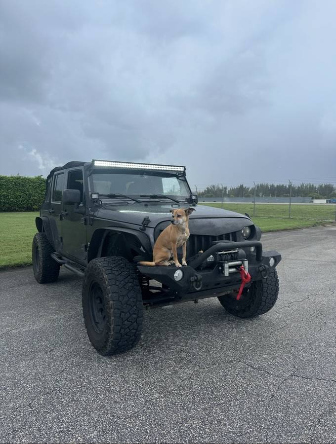 2018 Jeep, Import USA — Foto 3 z 9