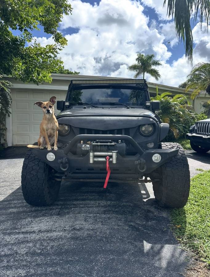 2018 Jeep, Import USA — Foto 4 z 9