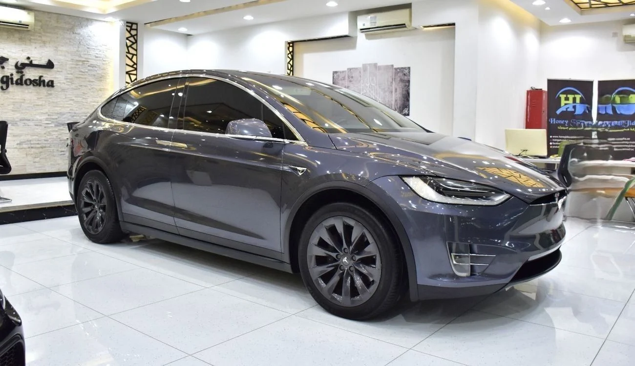 2019 Tesla Model X 100D, grau, 79.000 km, Import VAE — Foto 1