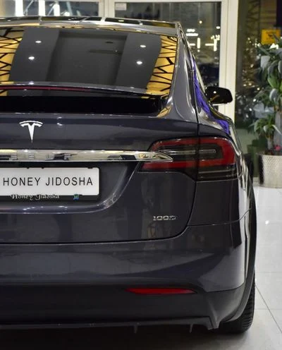 2019 Tesla Model X 100D, grau, 79.000 km, Import VAE — Foto 10 z 16