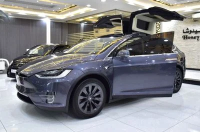 2019 Tesla Model X 100D, grau, 79.000 km, Import VAE — Foto 3 z 16