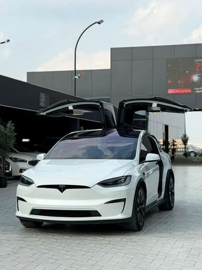 2023 Tesla Model X PLAID, weiß, 29.600 km, Import VAE — Foto 6 z 16
