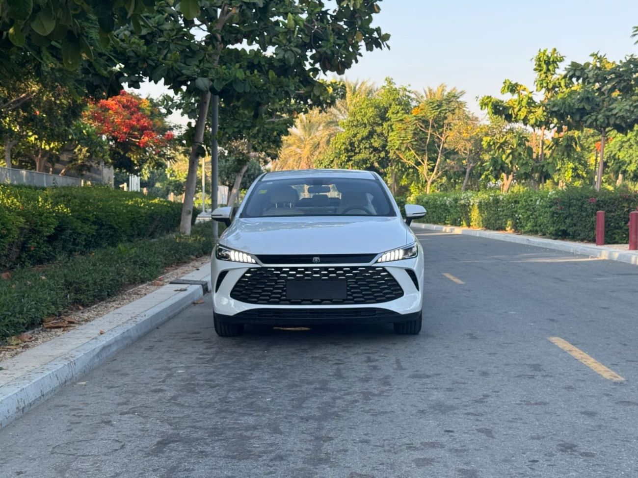 2025 Byd QIN PLUS STANDARD, weiß, 0 km, Import VAE — Foto 1