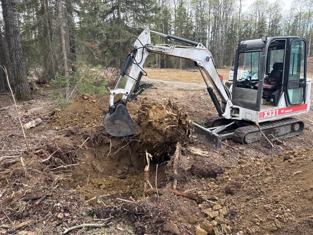 2001 Bobcat 331, rot, Import Kanada — Foto 2 z 2