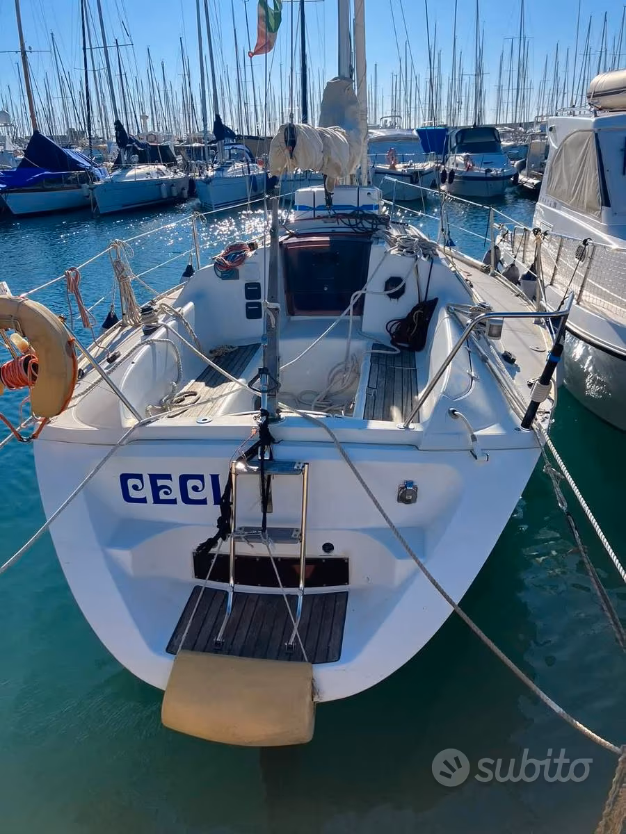 Italmar, Import Auf Lager in der EU — Foto 1