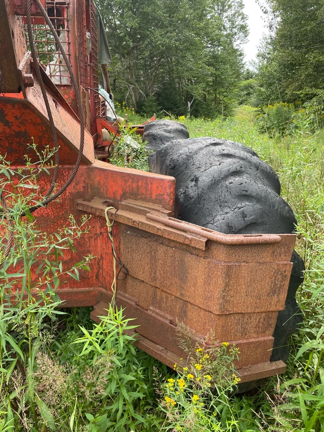 SKIDDER, Import Kanada — Foto 5 z 5