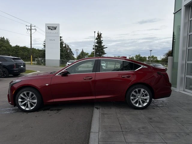 2026 Cadillac Ct5 Premium Luxury, rot, 5 km, Import Kanada — Foto 5 z 20