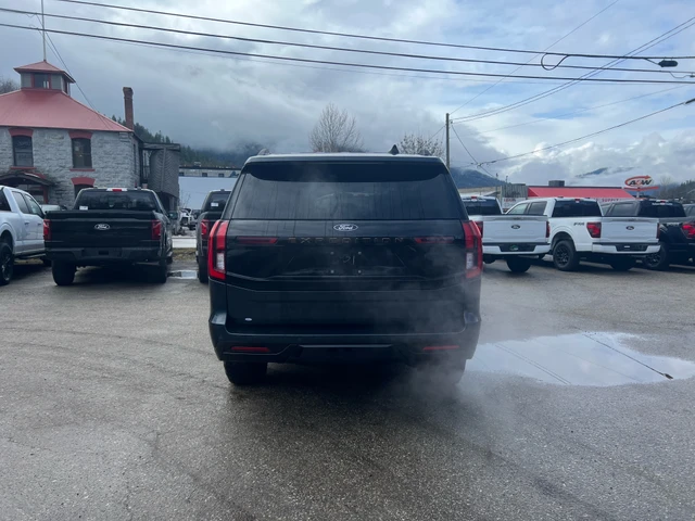 2025 Ford Expedition Tremor, grau, 11.197 km, Import Kanada — Foto 4 z 5