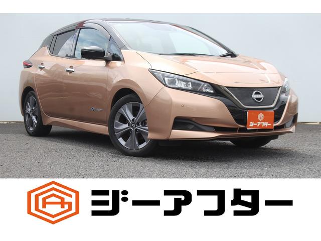 Nissan Leaf, Import Japan — Foto 1 Nissan Leaf, Import Japan — Foto 1