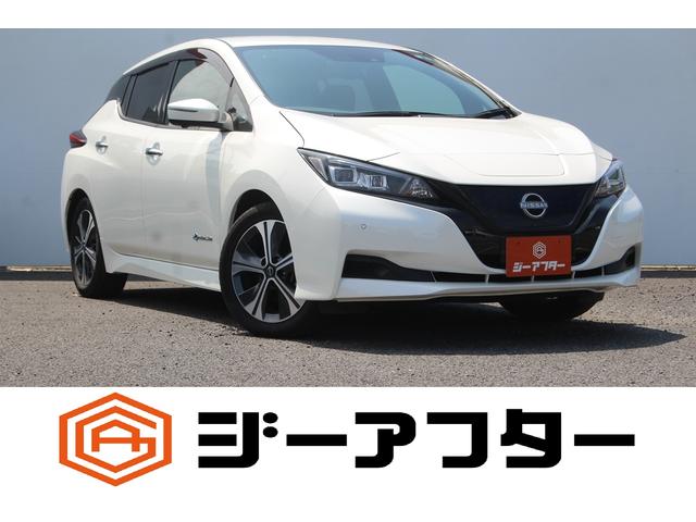 Nissan Leaf, Import Japan — Foto 1