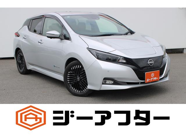 Nissan Leaf, Import Japan — Foto 1 Nissan Leaf, Import Japan — Foto 1