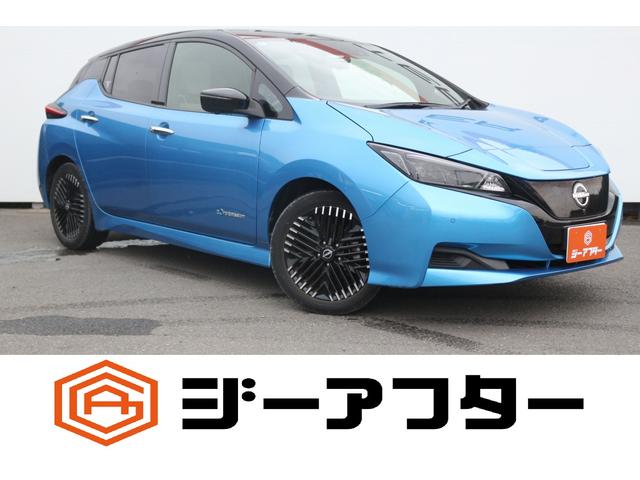 Nissan Leaf, Import Japan — Foto 1