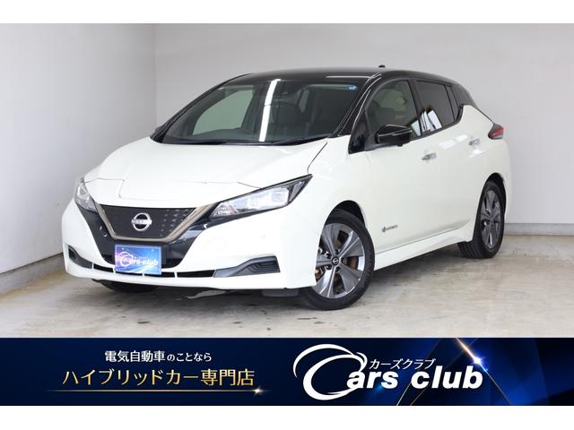 Nissan Leaf, Import Japan — Foto 1 Nissan Leaf, Import Japan — Foto 1