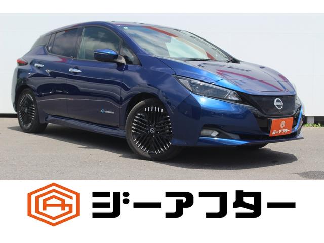 Nissan Leaf, Import Japan — Foto 1 Nissan Leaf, Import Japan — Foto 1