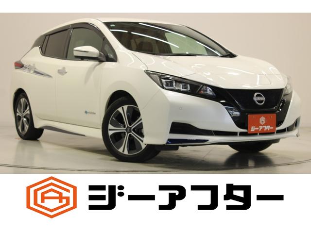 Nissan Leaf, Import Japan — Foto 1 Nissan Leaf, Import Japan — Foto 1