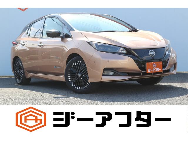 Nissan Leaf, Import Japan — Foto 1