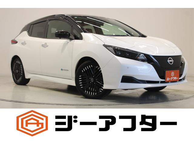 Nissan Leaf, Import Japan — Foto 1 Nissan Leaf, Import Japan — Foto 1