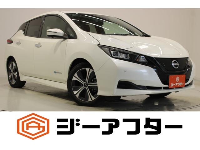 Nissan Leaf, Import Japan — Foto 1