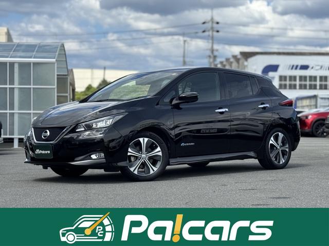 Nissan Leaf, Import Japan — Foto 1