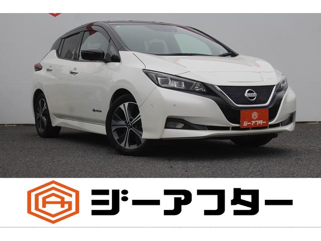 Nissan Leaf, Import Japan — Foto 1 Nissan Leaf, Import Japan — Foto 1