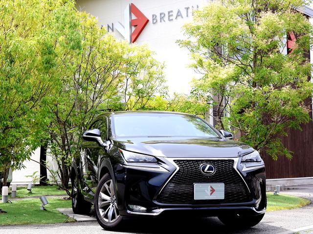Lexus Nx, Import Japan — Foto 1 Lexus Nx, Import Japan — Foto 1