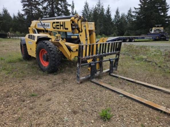 Gehl DL12-55, Import USA — Foto 2 z 4
