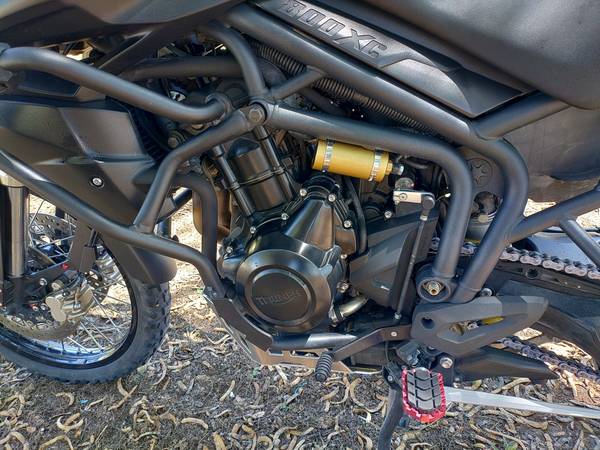 Triumph, Import USA — Foto 10 z 12