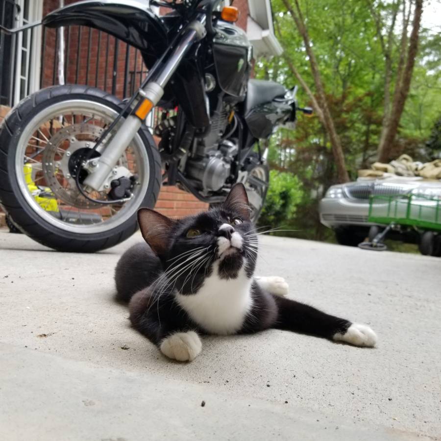 2004 Yamaha, schwarz, Import USA — Foto 10 z 11