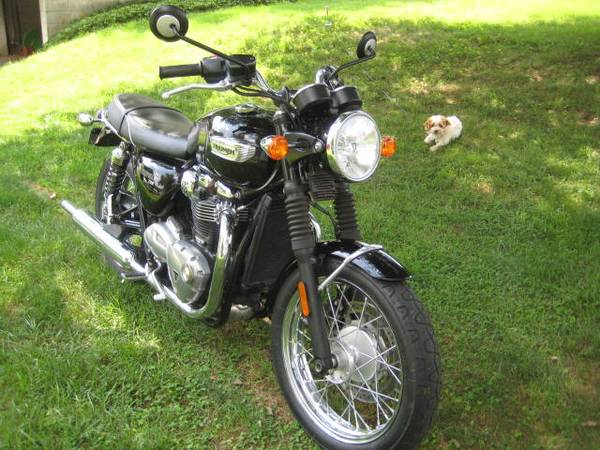 2018 Triumph, Import USA — Foto 4 z 12
