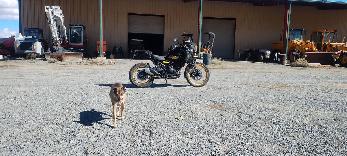 Royal Enfield, Import USA — Foto 3 z 6