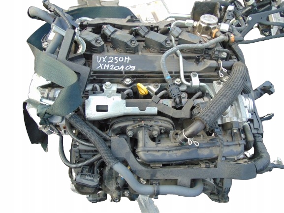 kompletní motor Lexus Ux 250h Xm20a--u91c, Auf Lager in der EU — Foto 1
