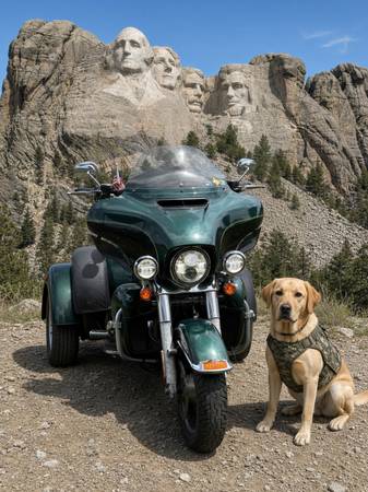 2016 Harley-Davidson, Import USA — Foto 10 z 11