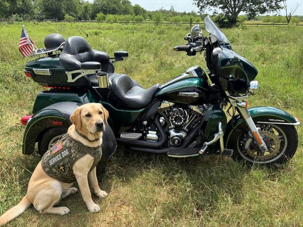 2016 Harley-Davidson, Import USA — Foto 8 z 11