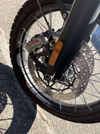 2019 Triumph, Import USA — Foto 8 z 8