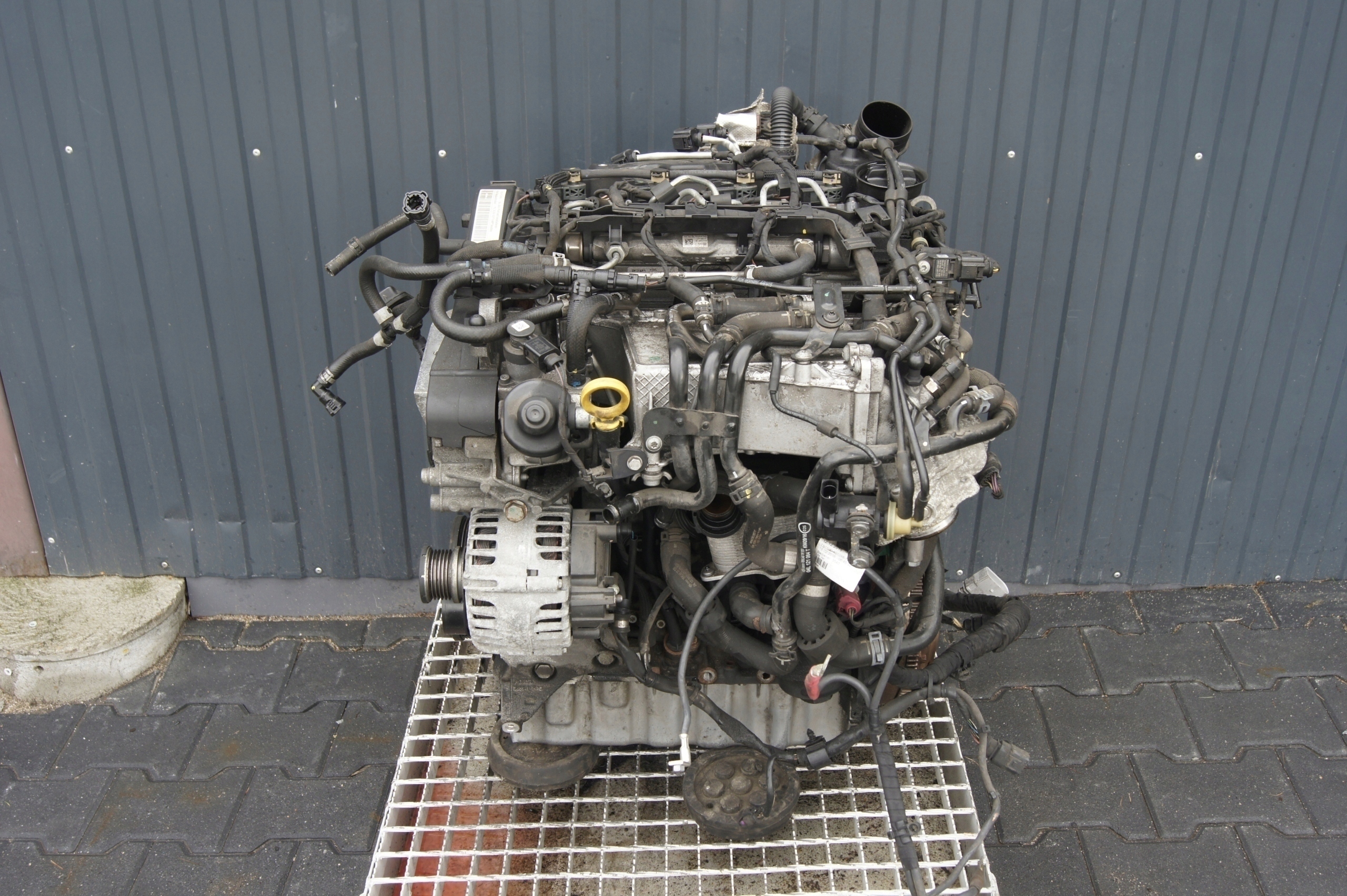 Motor — Seat 1.6 TDI, Auf Lager in der EU — Foto 1