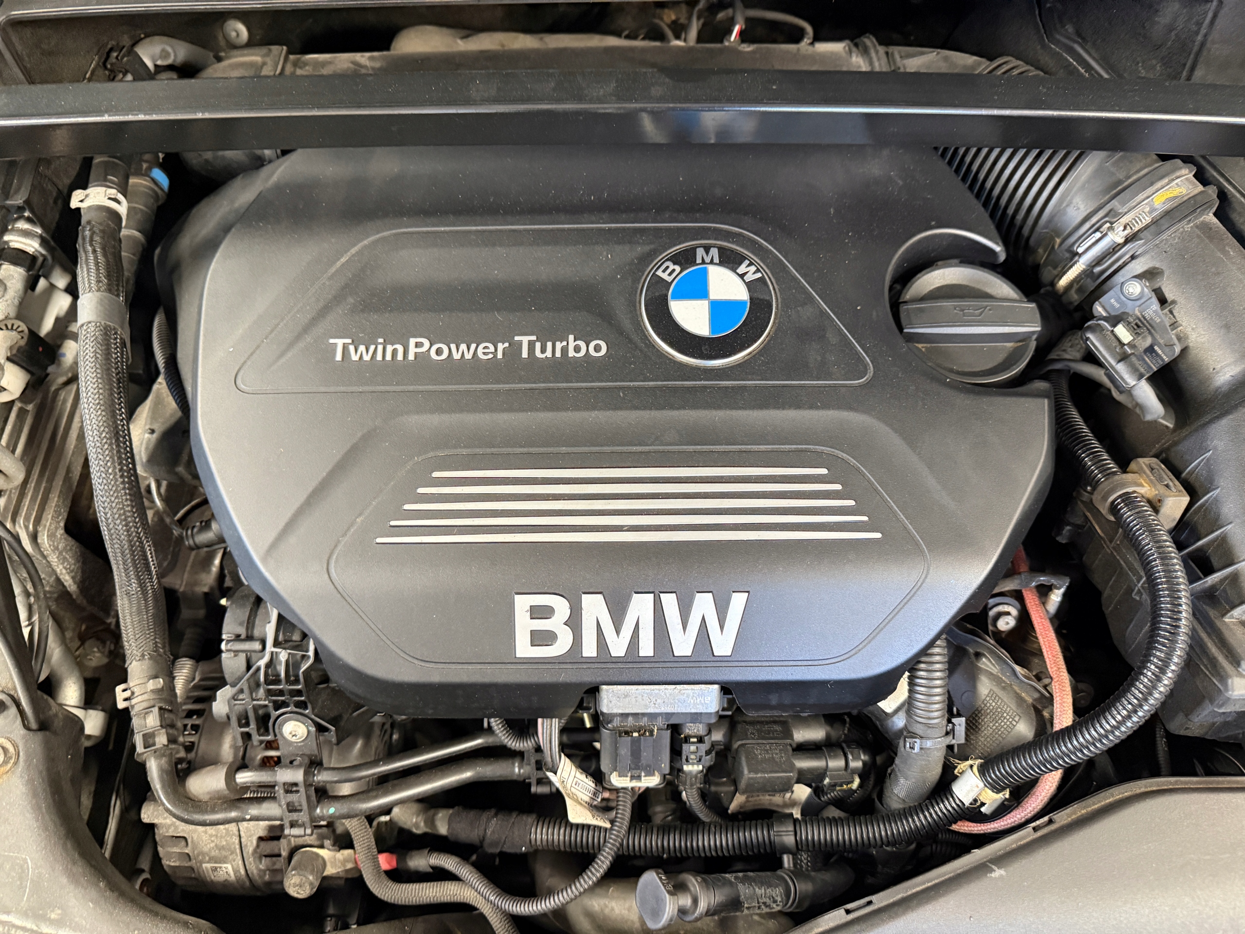Motor — MINI, Auf Lager in der EU — Foto 1