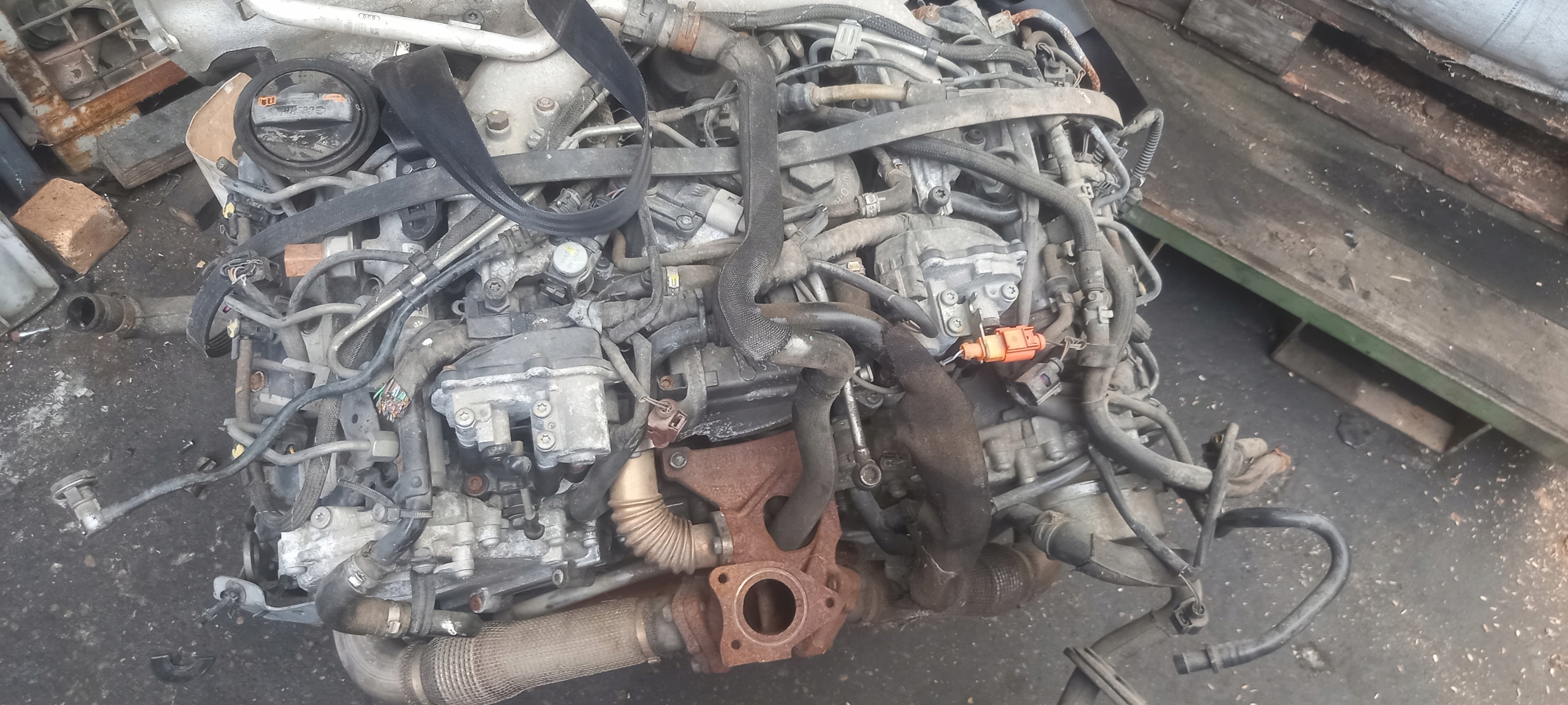 Motor — Audi A4 3.0 TDI V6, Auf Lager in der EU — Foto 1