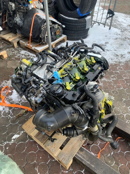 Motor — Seat 1.6 TDI, Auf Lager in der EU — Foto 1