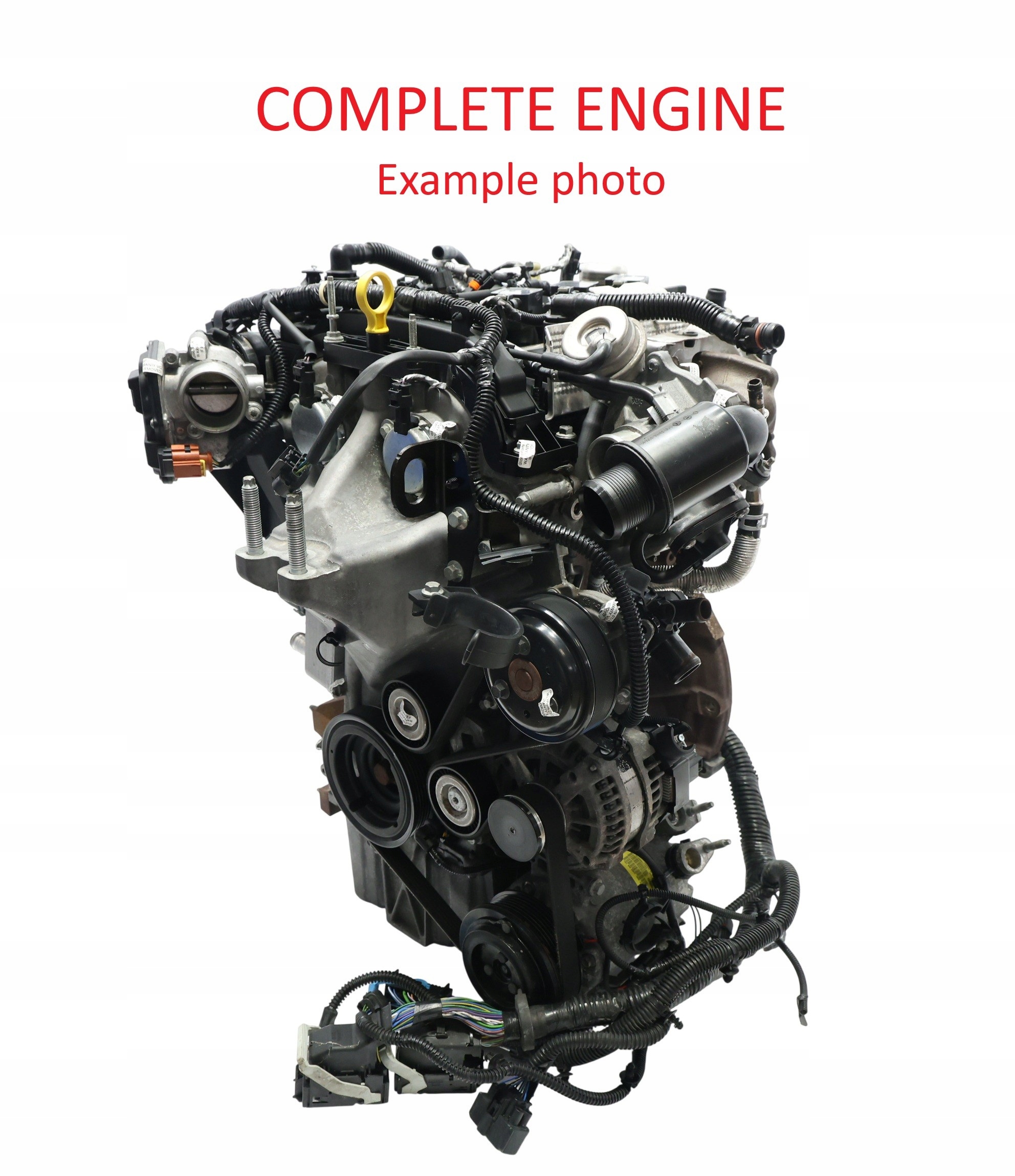 Motor — Ford C-Max 1.0, Auf Lager in der EU — Foto 1