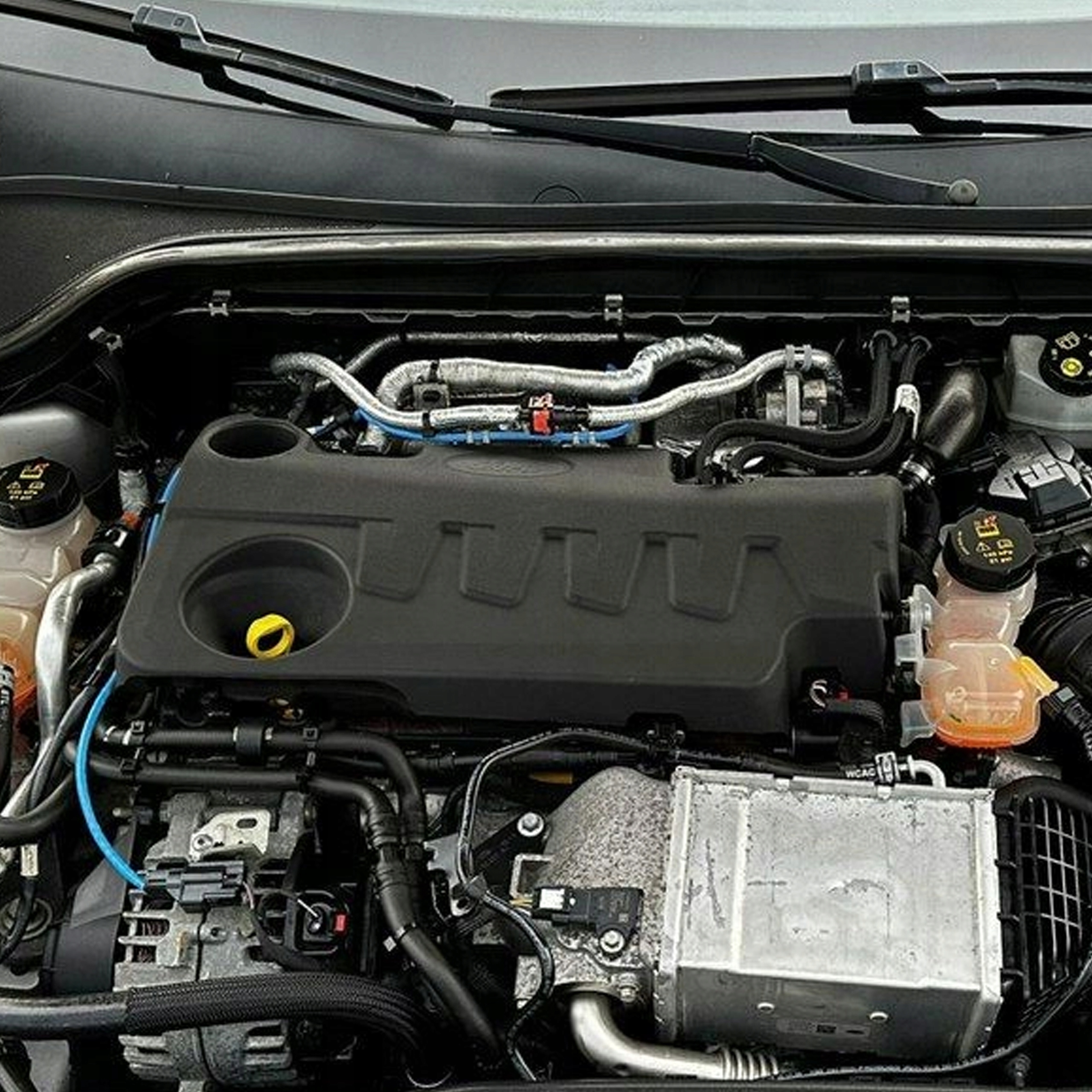 Kompletní motor — Ford C-Max 2.0 TDCI, Auf Lager in der EU — Foto 1
