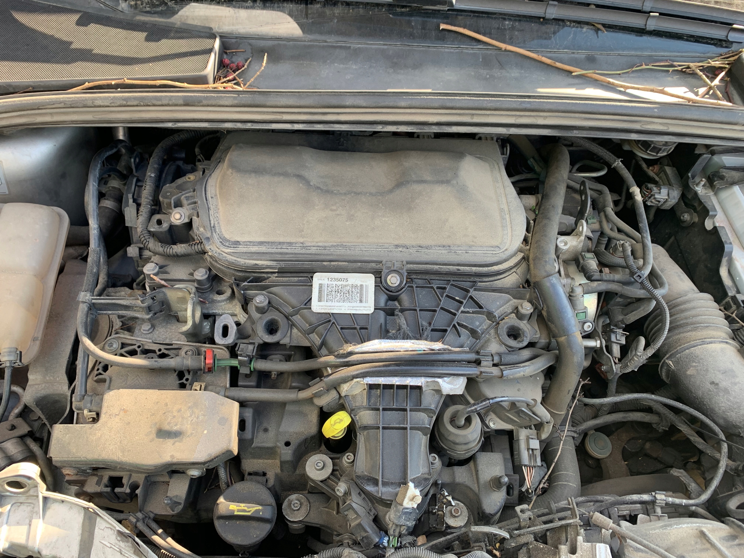 Kompletní motor — Ford Focus 2.0 TDCI, Auf Lager in der EU — Foto 1