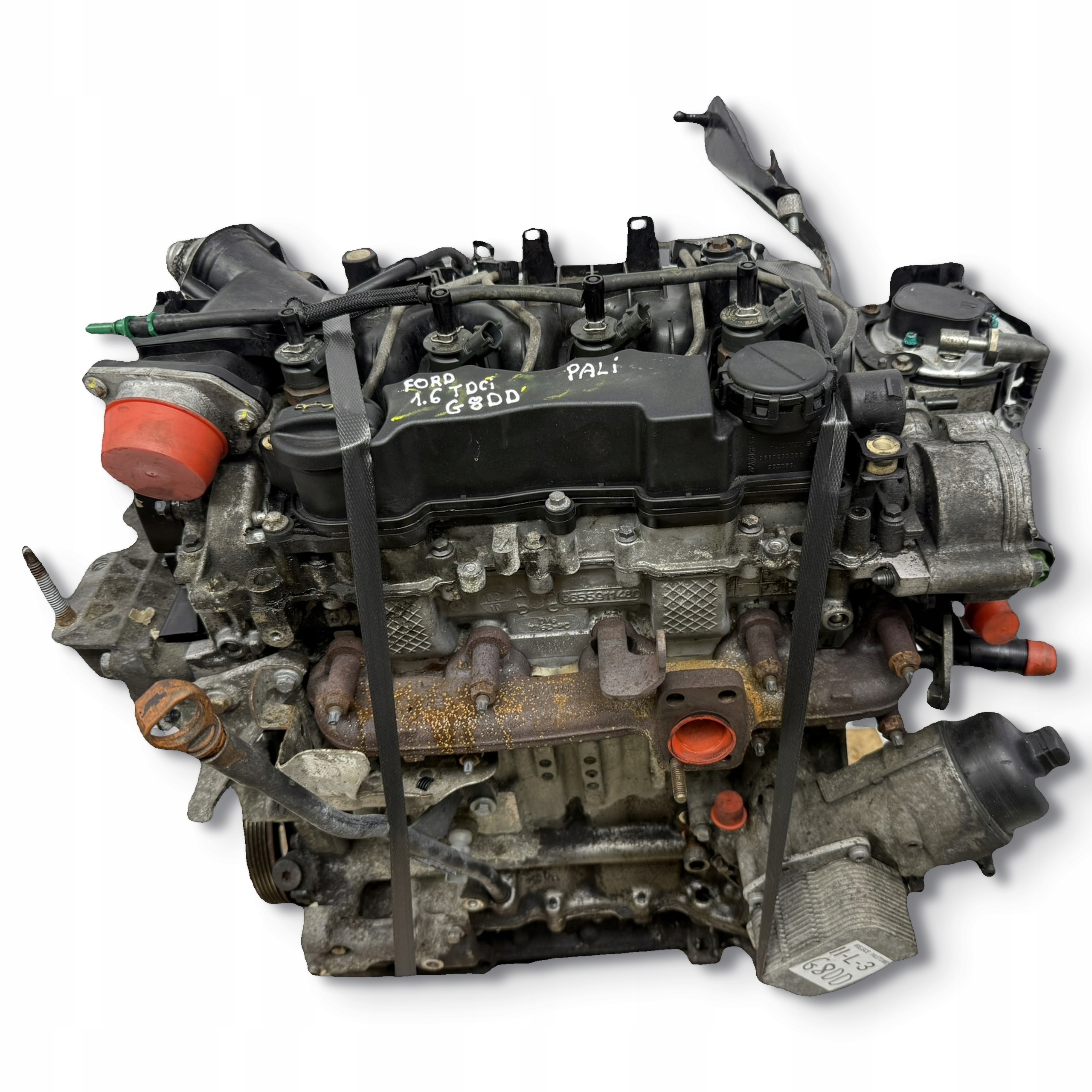Kompletní motor — Ford C-Max 1.6 TDCI, Auf Lager in der EU — Foto 1