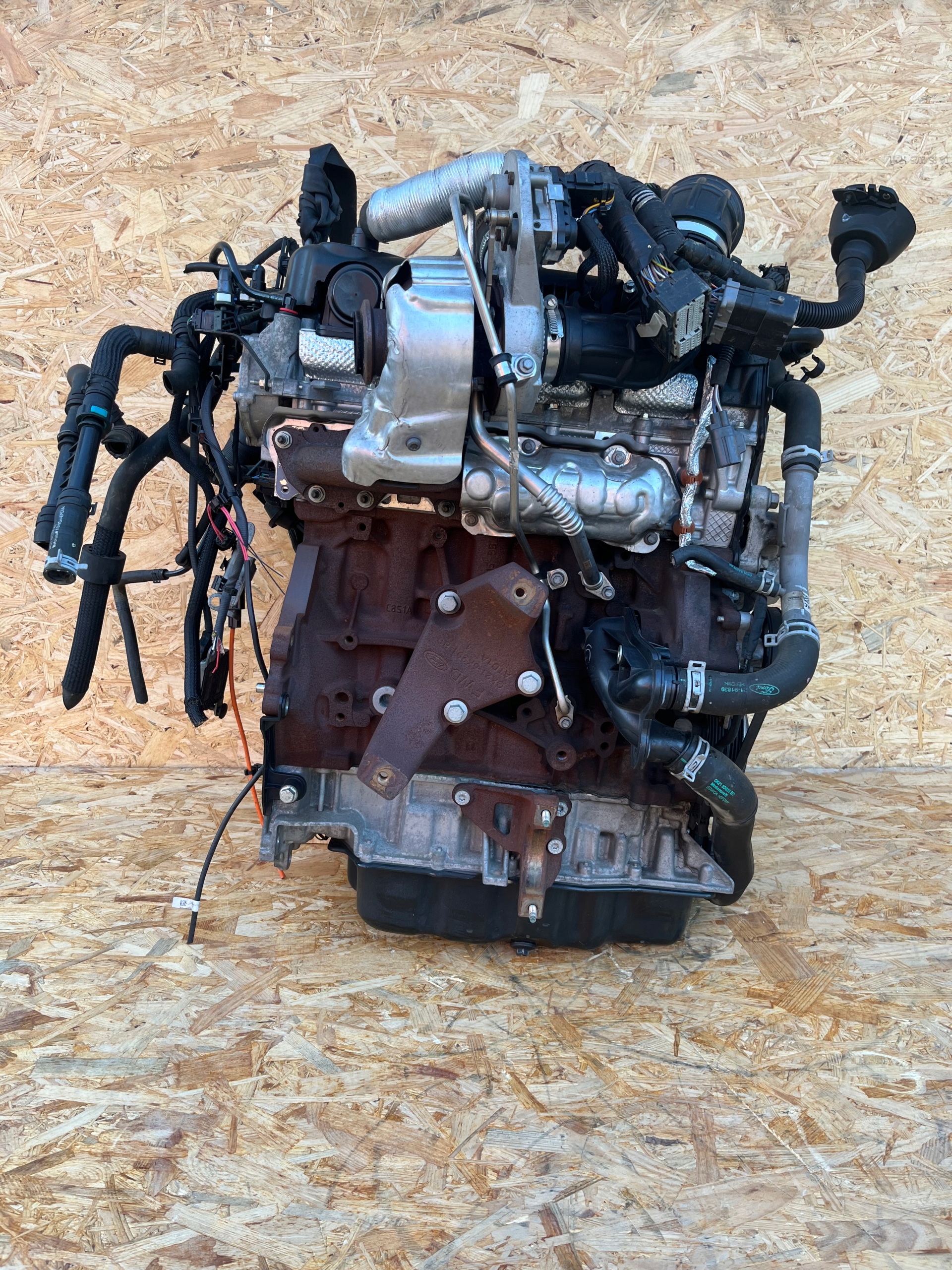 Kompletní motor — Ford Transit, Auf Lager in der EU — Foto 1