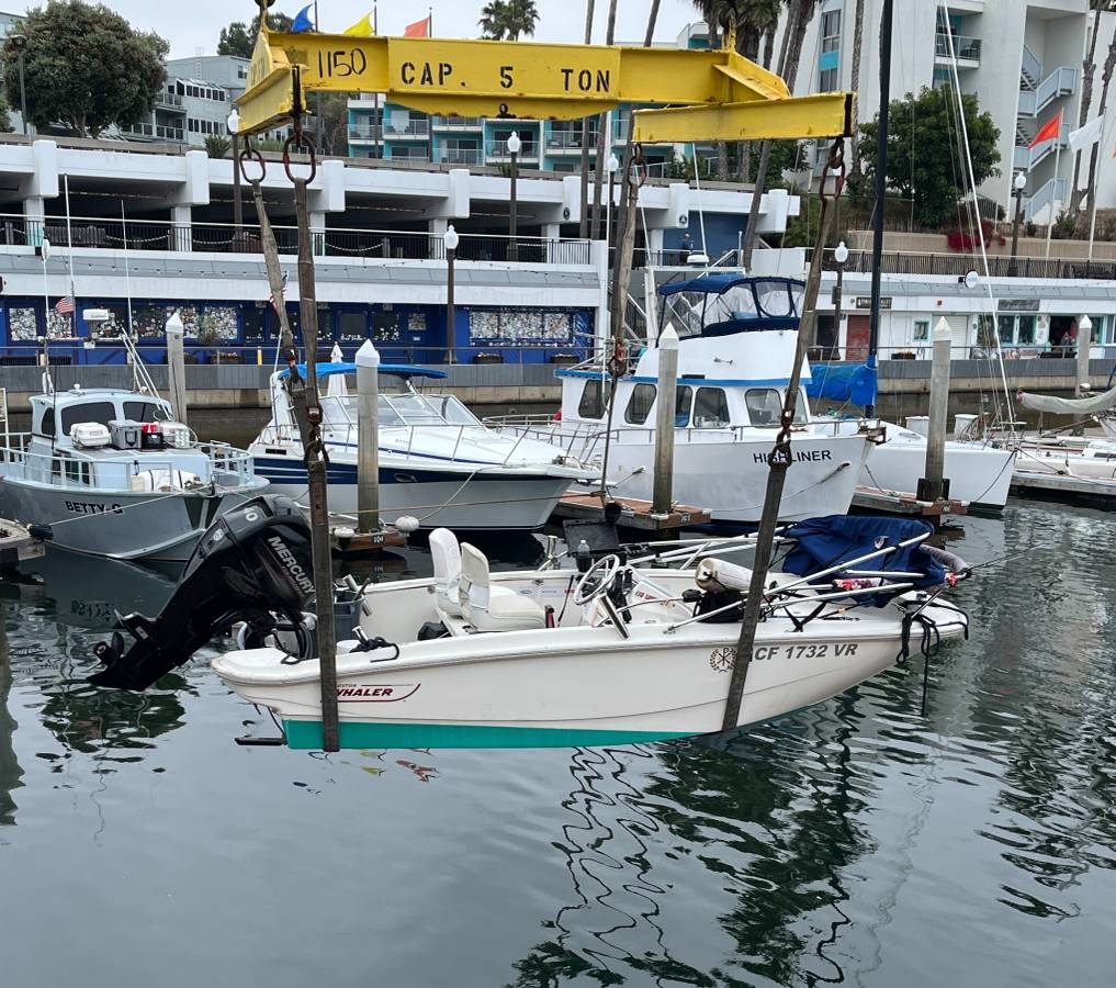 2019 Boston Whaler, Import USA — Foto 3 z 3