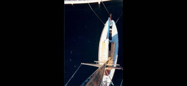 Boston Whaler, Import USA — Foto 10 z 12