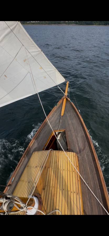 Boston Whaler, Import USA — Foto 11 z 12
