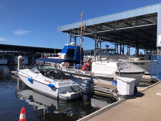 Boston Whaler, Import USA — Foto 2 z 4