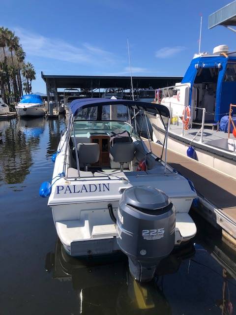Boston Whaler, Import USA — Foto 4 z 4